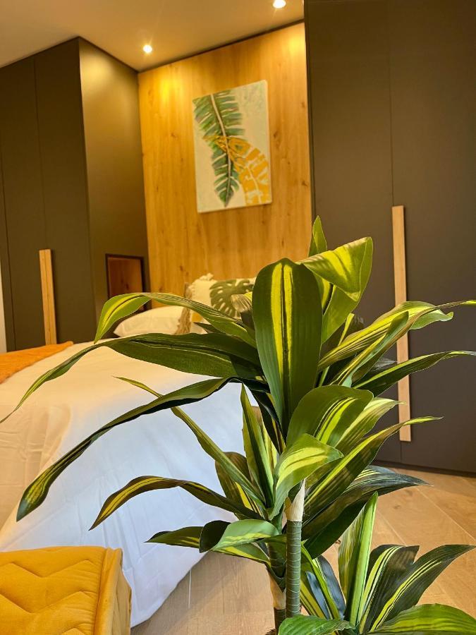 Apartament Covadonga Oviedo Zewnętrze zdjęcie